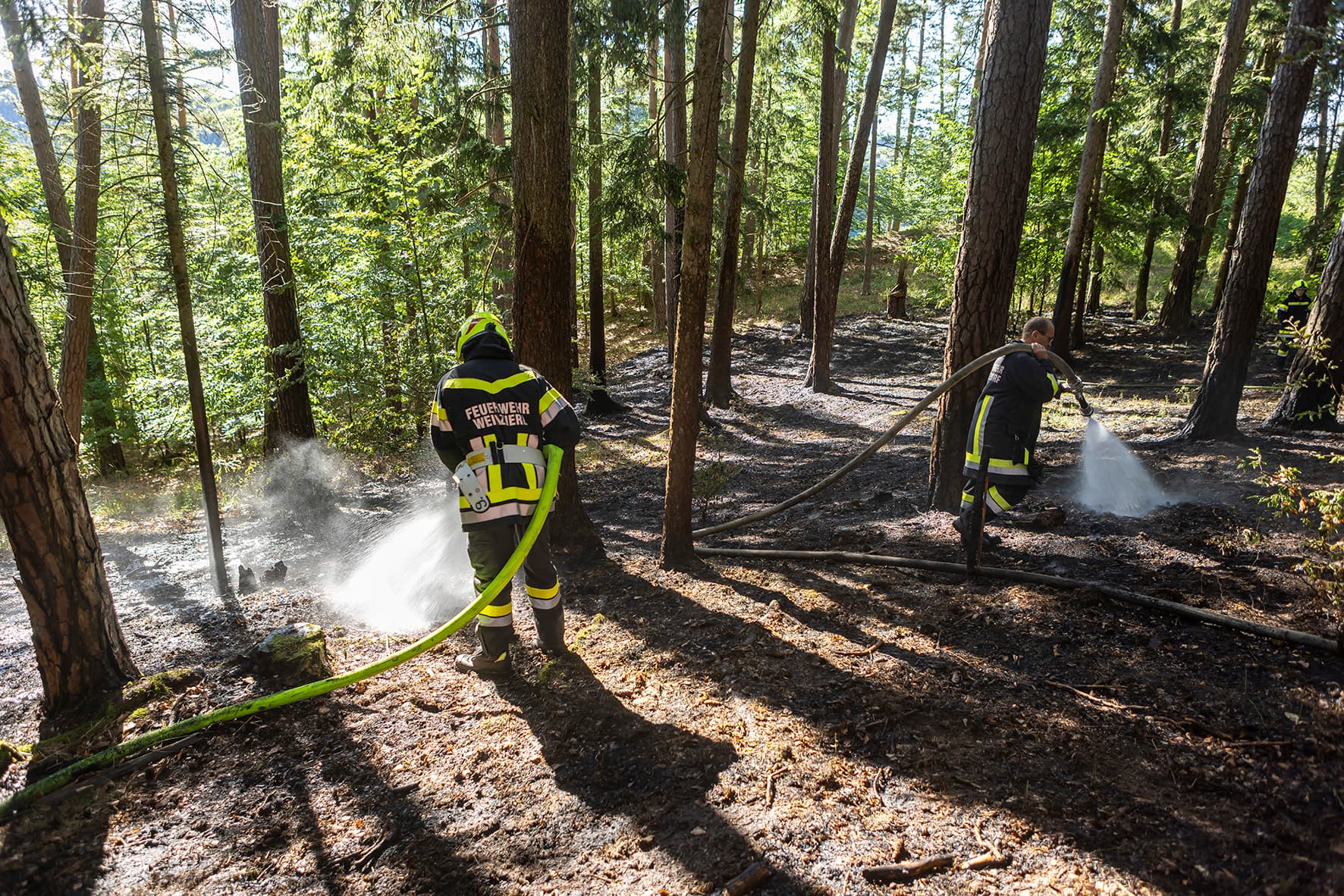 Gallery image 5 -  Fünf Feuerwehren im Einsatz - Waldbrand in Nöhagen 