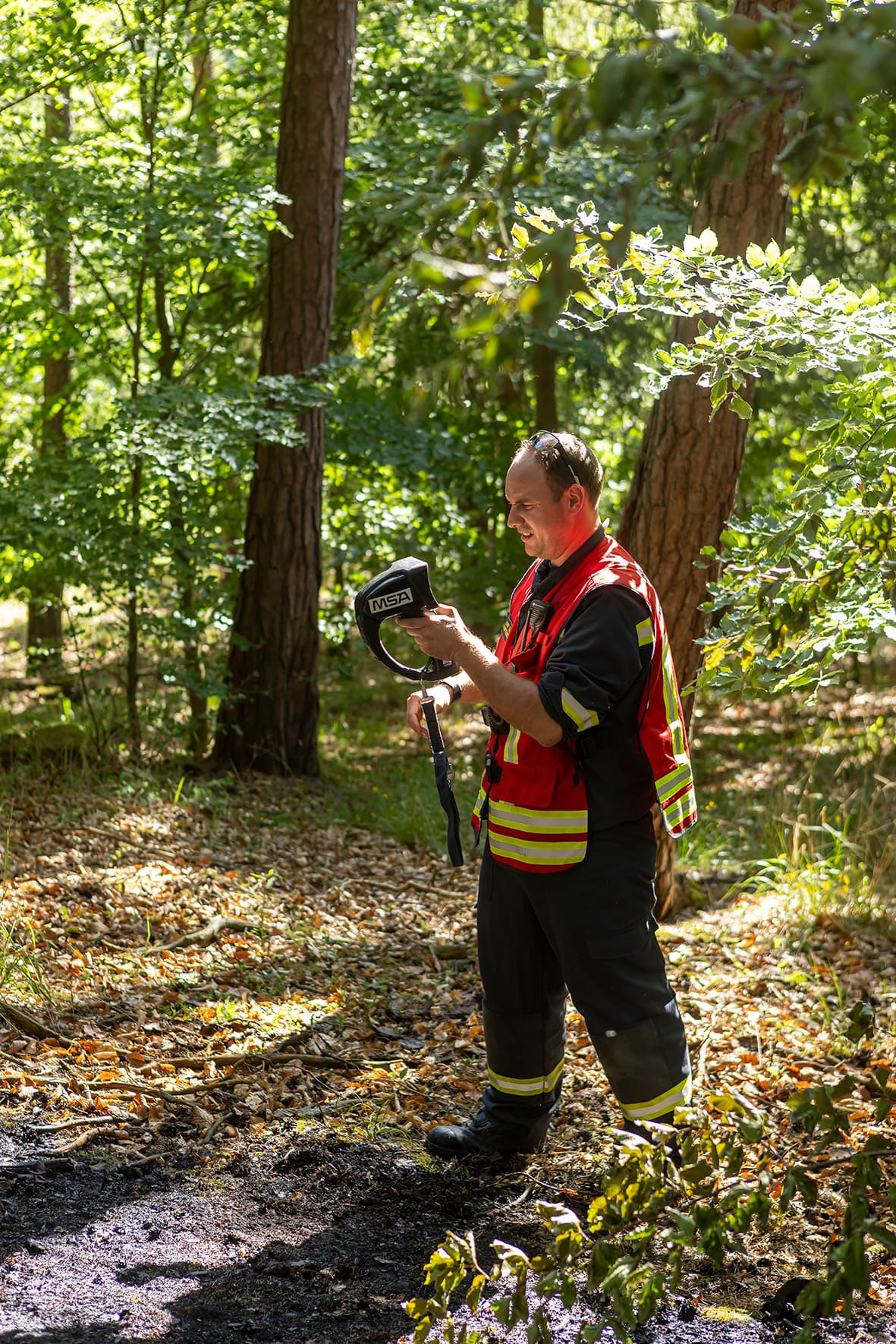 Gallery image 3 -  Fünf Feuerwehren im Einsatz - Waldbrand in Nöhagen 